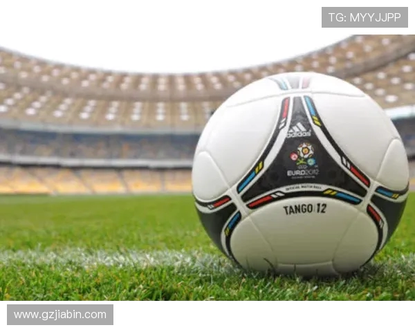 意甲与德甲所有球队标志及对比展示