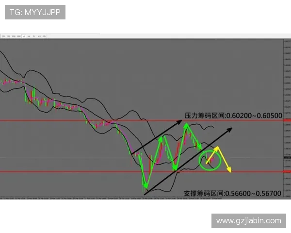 埃及世界杯预选赛分数走势与出线形势深度解析全面观察与未来展望